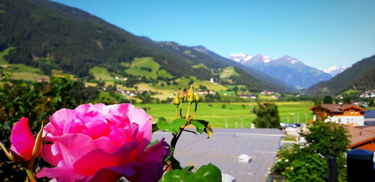 Haus Wibmer Matrei in Osttirol Exterior foto